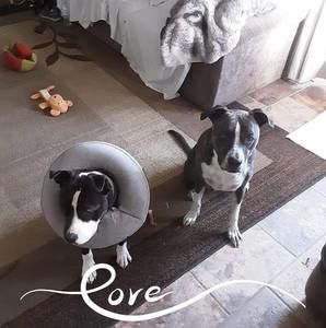 Meet your Posher, Leeanna